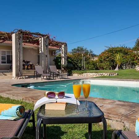 African Tulip Guesthouse Tulbagh Kültér fotó