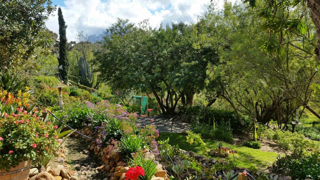 African Tulip Guesthouse Tulbagh Kültér fotó